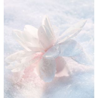 Sérum à l'essence de lumière Diorsnow