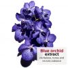 Oliu di Trattamentu Faciali di Orchidea Blu