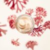 Crema antirughe