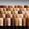 Soft Matte Complete Foundation Fondazione Soft Matte Complete