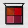 Palette Pro Face: Blush