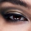 Connect In Colour Eye Shadow Palette: Influenza di Bronzu