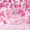Beautiful Magnolia Dare To Play Set di fragranza